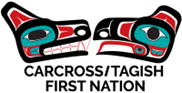 CTFN Logo